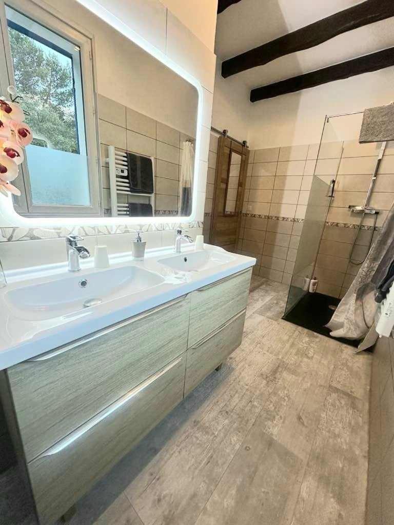 La Villa Du Menhir Chambre D'Hotes บิซ-มิเนอวัว ภายนอก รูปภาพ