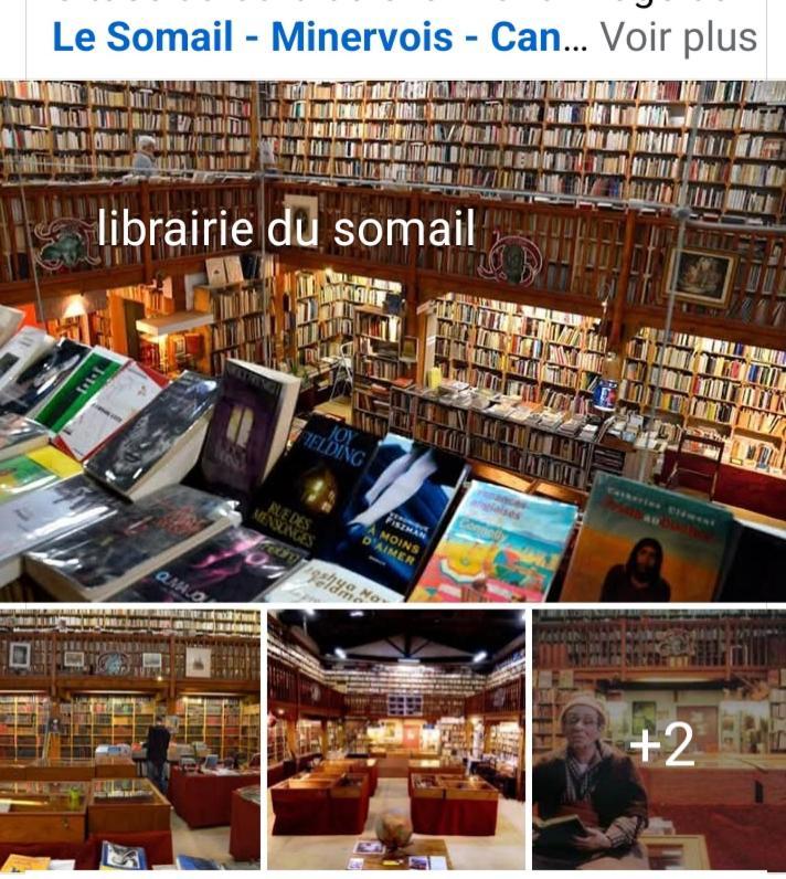 La Villa Du Menhir Chambre D'Hotes บิซ-มิเนอวัว ภายนอก รูปภาพ
