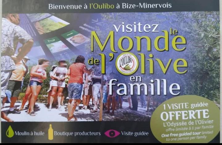 La Villa Du Menhir Chambre D'Hotes บิซ-มิเนอวัว ภายนอก รูปภาพ